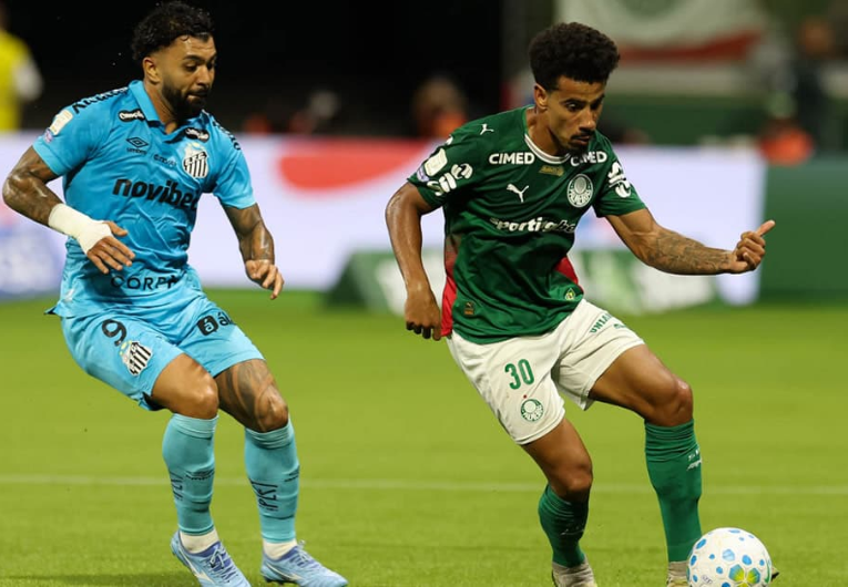 Foto: Cesar Greco/Palmeiras