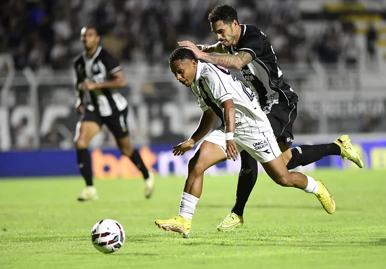 A Ponte Preta tenta espantar a crise na Série B - Foto: Marcos Ribolli / PontePress