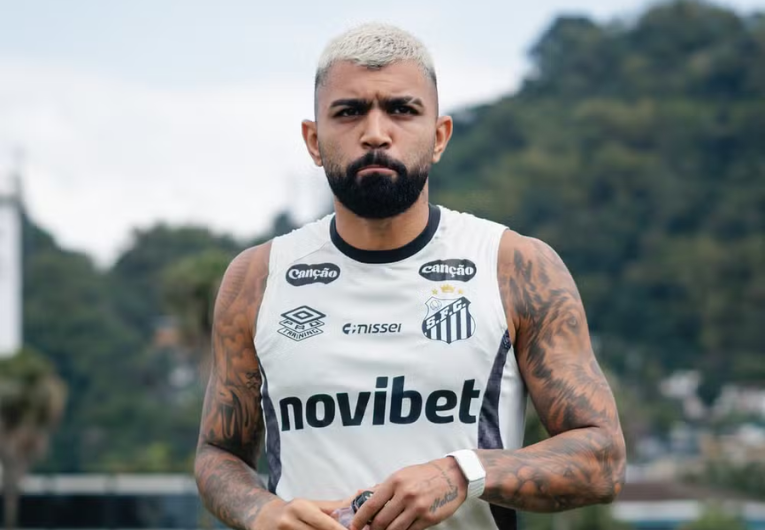 Foto: Raul Baretta/ Santos FC