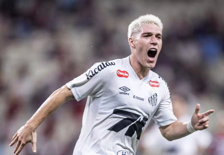Foto: Raul Baretta/ Santos FC