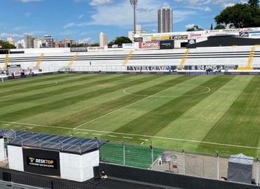 Gramado do estádio Moisés Lucarelli em 2024 - Foto: Divulgação