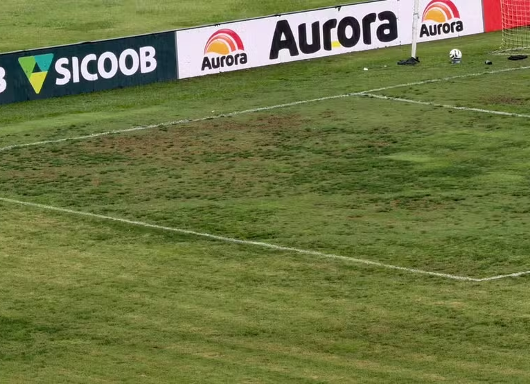 Gramado do Moisés Lucarelli em Ponte Preta 1x0 CRB - Foto: Gabriela Troian