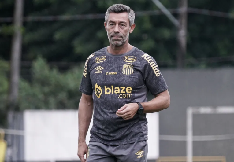 Foto: Raul Baretta / Santos FC